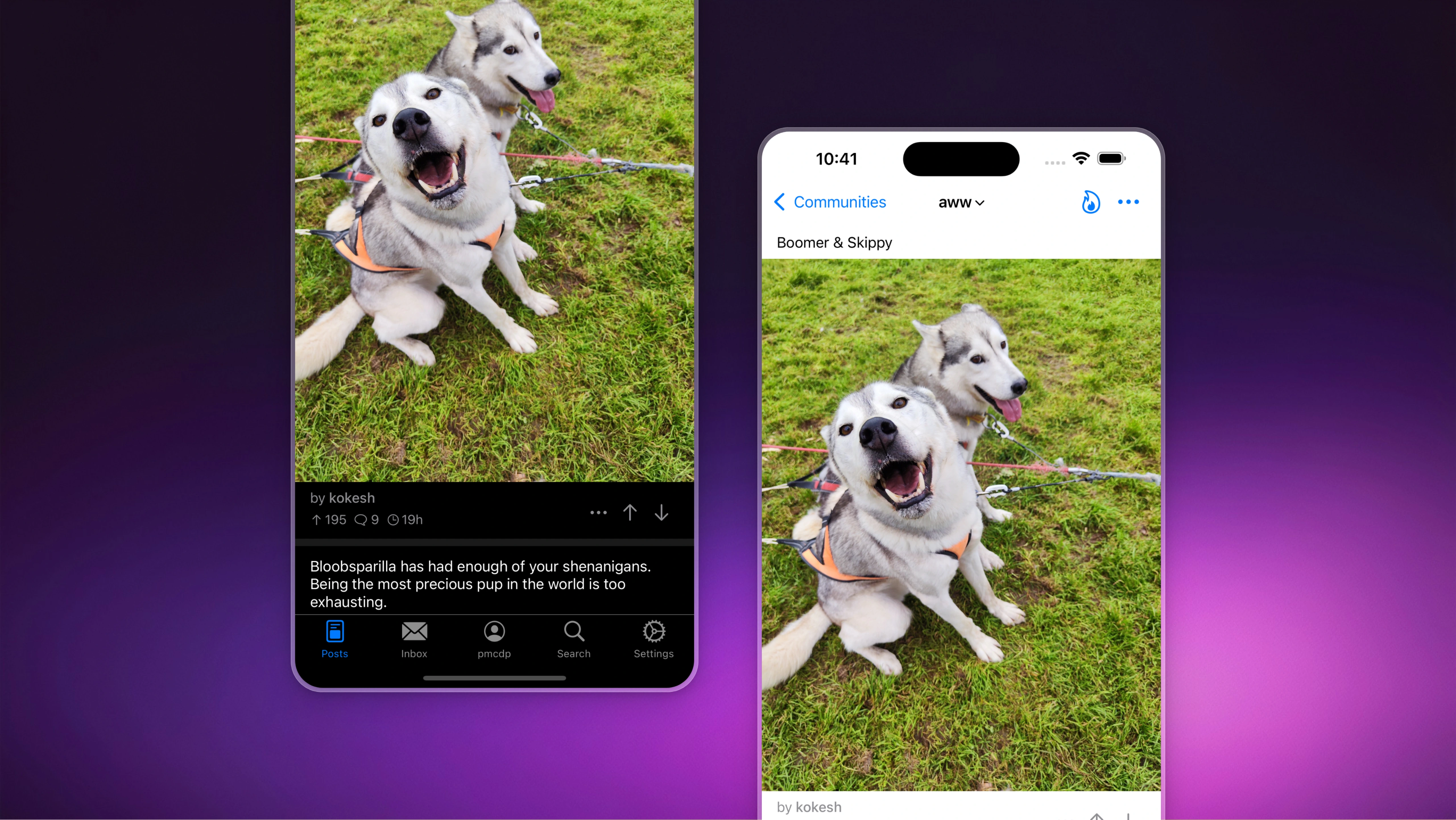 Pulse - Lemmy Client